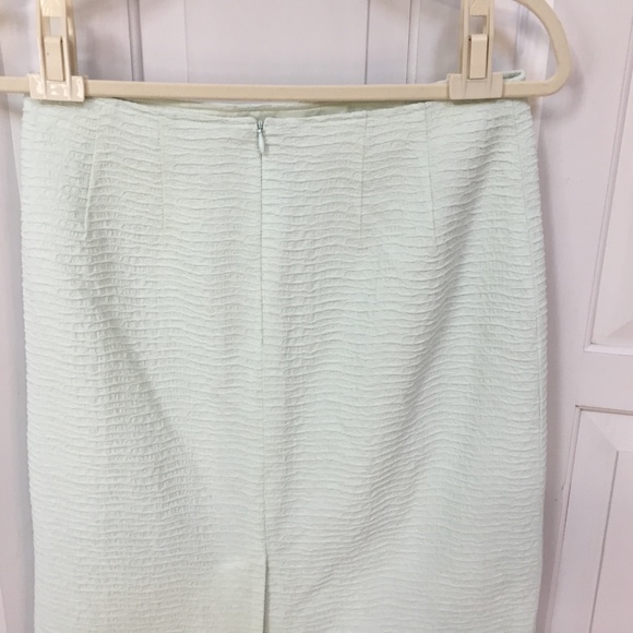 Rickie Freeman Teri John Pastel Green Textured Skirt - Picture 12 of 16